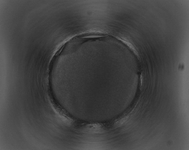 X0000091190492200708301240