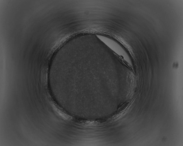 X0000091190493200708301240