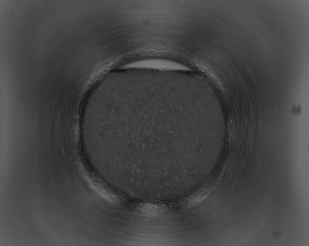 X0000091190494200708301240