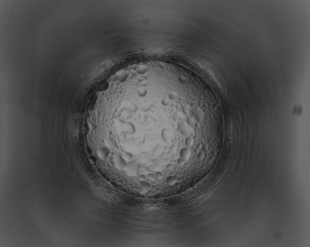 X0000091190495200708301240