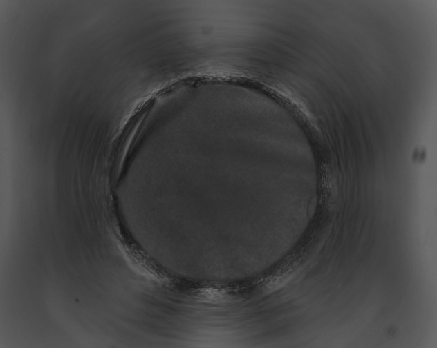 X0000091190496200708301240