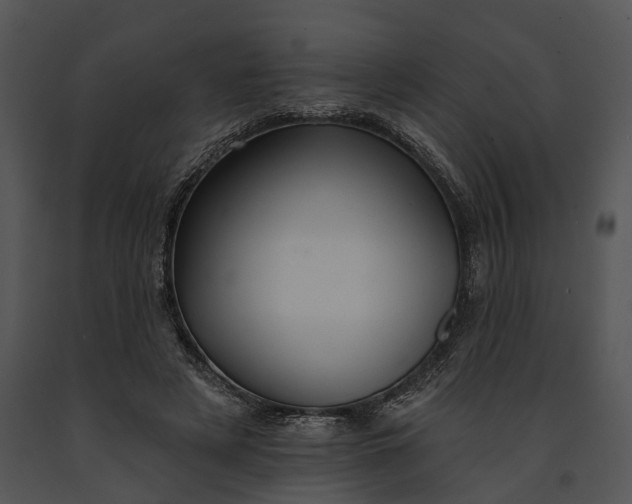 X0000091190497200708301240