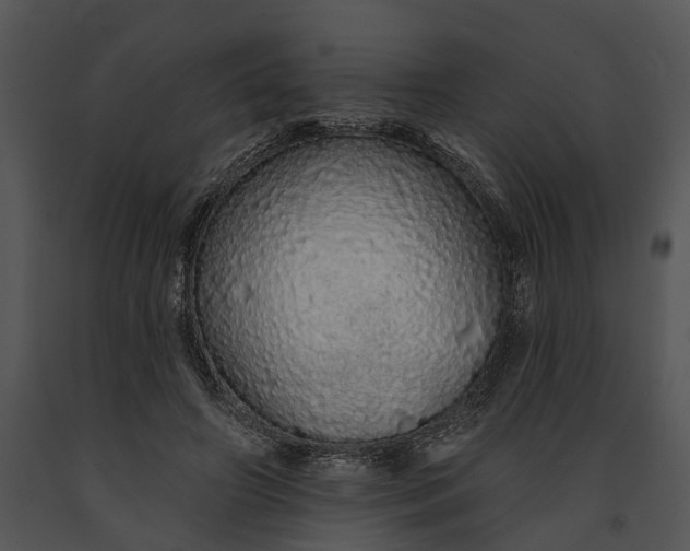 X0000091190498200708301240