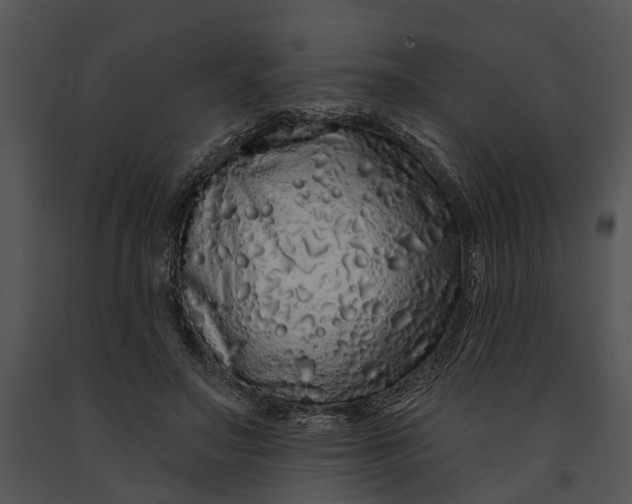 X0000091190499200708301240