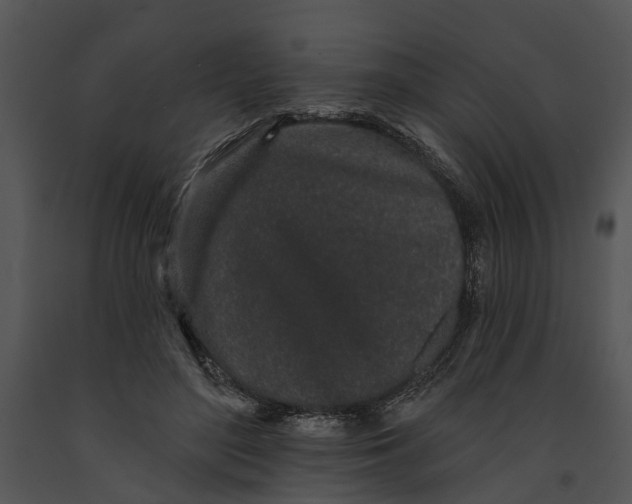 X0000091190500200708301240