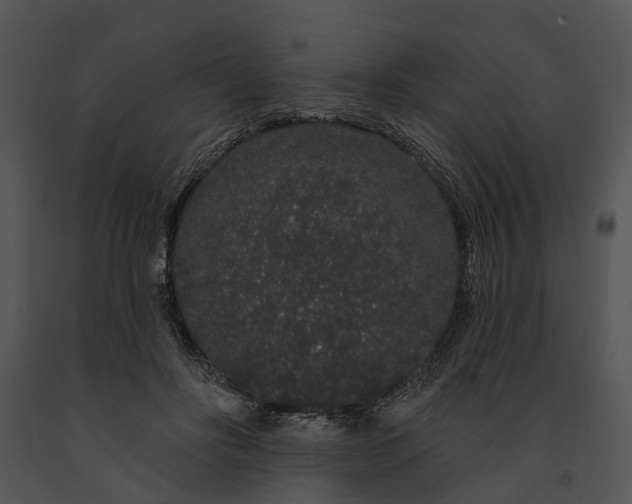 X0000091190502200708301240