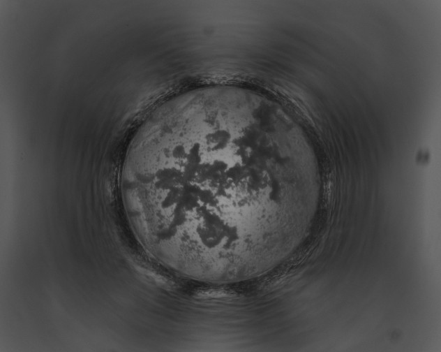 X0000091190503200708301240