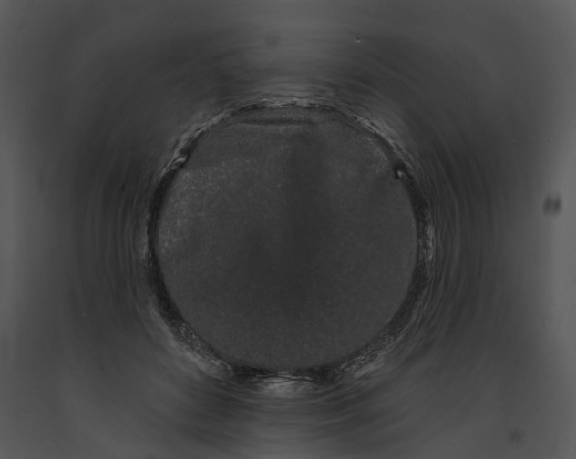 X0000091190504200708301240