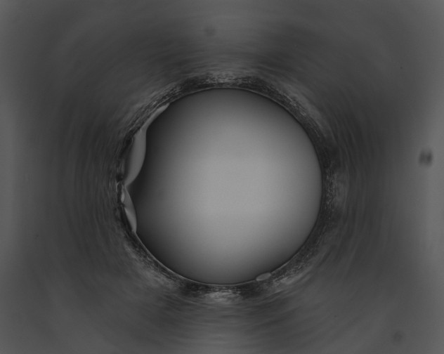 X0000091190505200708301240