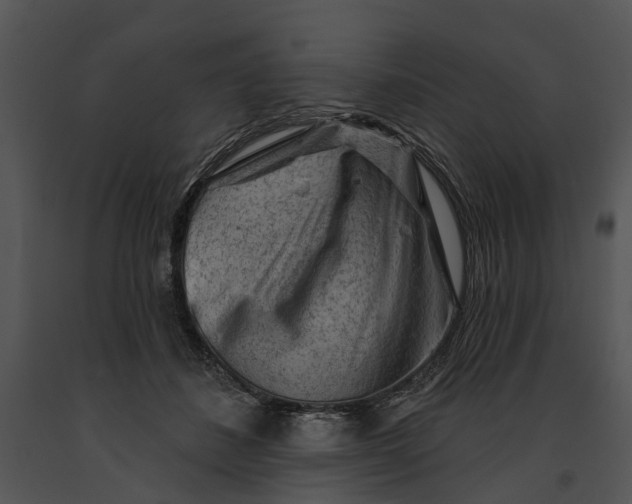 X0000091190508200708301240