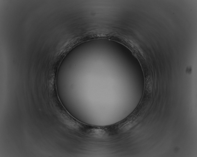 X0000091190509200708301240