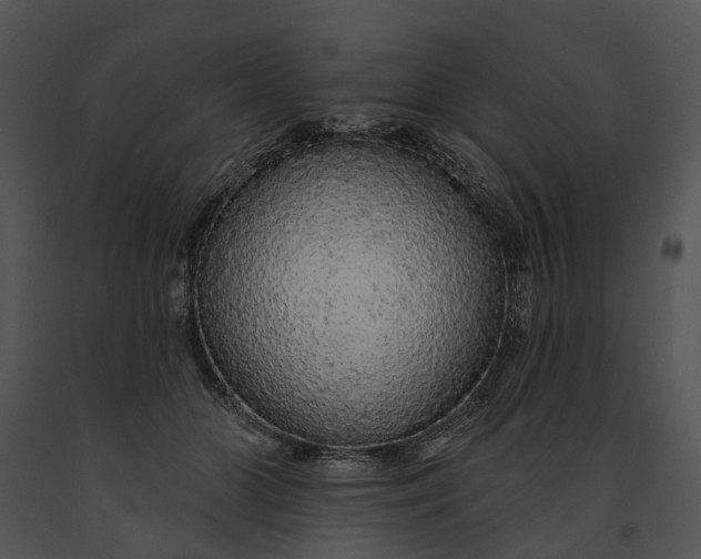 X0000091190510200708301240