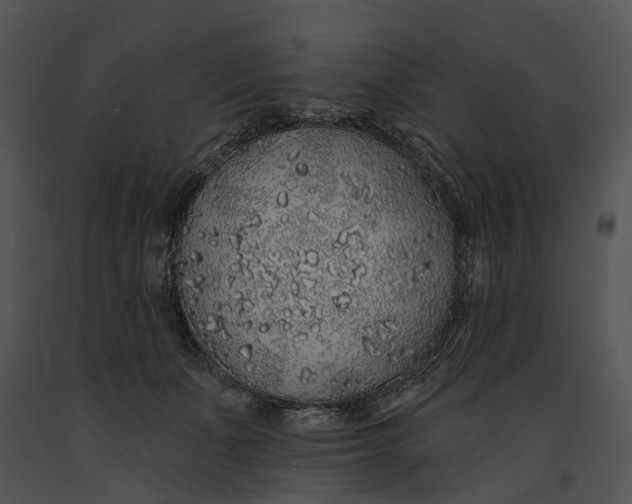 X0000091190511200708301240