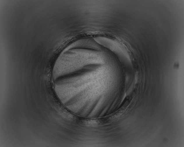 X0000091190513200708301240