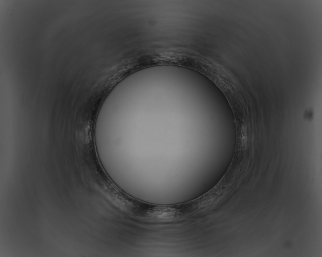 X0000091190514200708301240