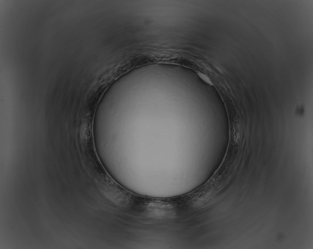 X0000091190515200708301240