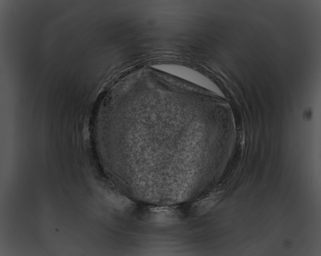 X0000091190516200708301240