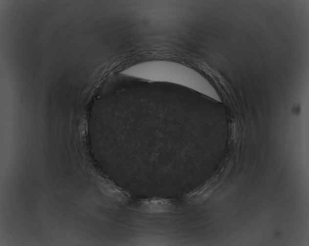 X0000091190517200708301240