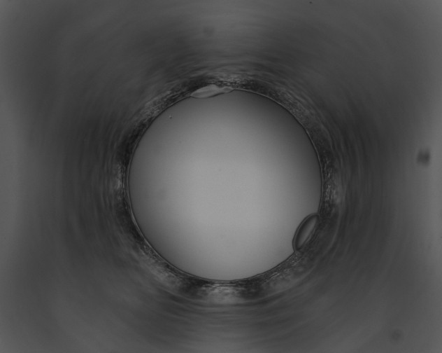 X0000091190518200708301240