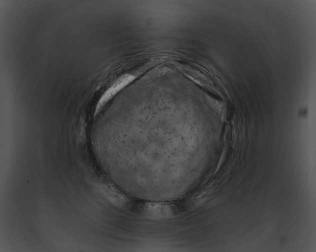 X0000091190520200708301240