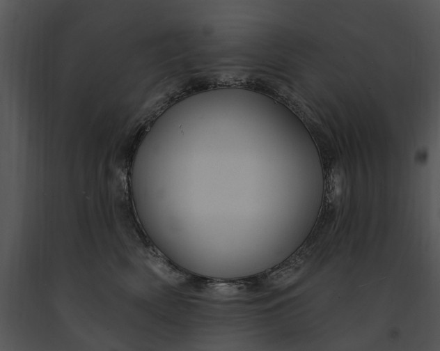 X0000091190522200708301240