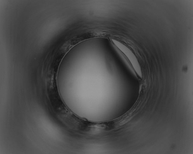 X0000091190525200708301240