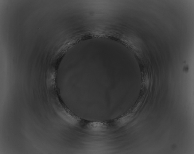 X0000091190526200708301240