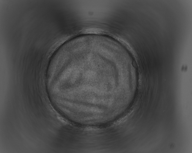 X0000091190529200708301239