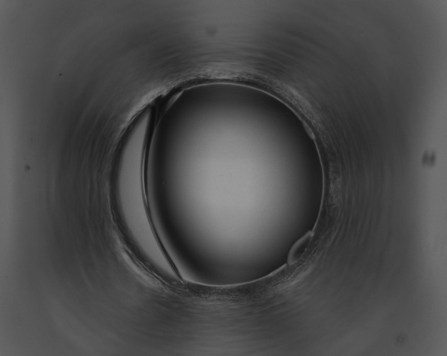 X0000091190530200708301239