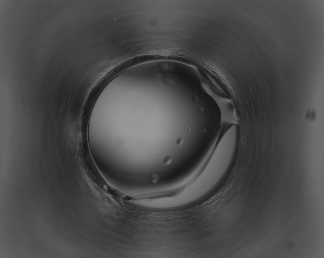 X0000091190532200708301239