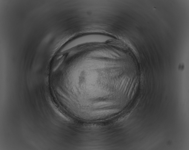 X0000091190533200708301239