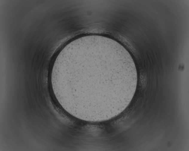 X0000091190534200708301239