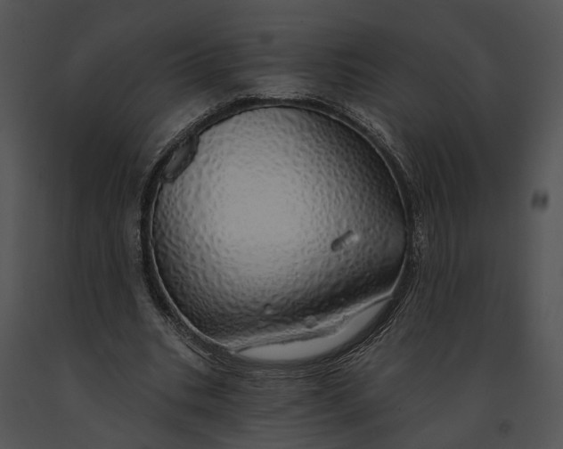 X0000091190535200708301239