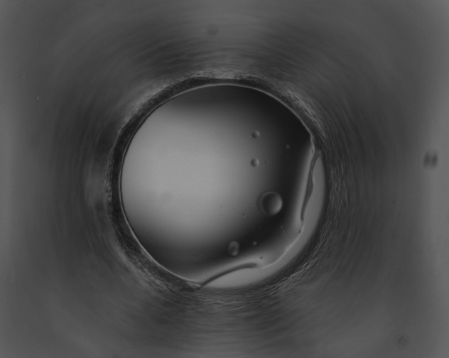 X0000091190536200708301239