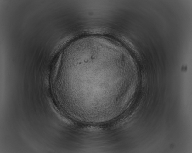 X0000091190537200708301239