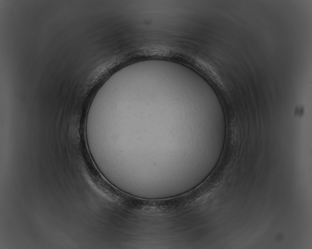 X0000091190538200708301239