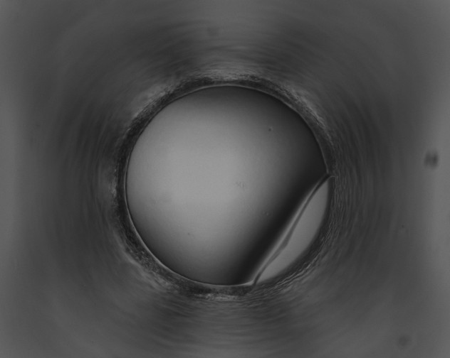 X0000091190539200708301239