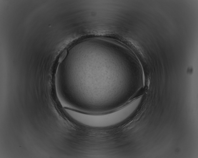 X0000091190540200708301239