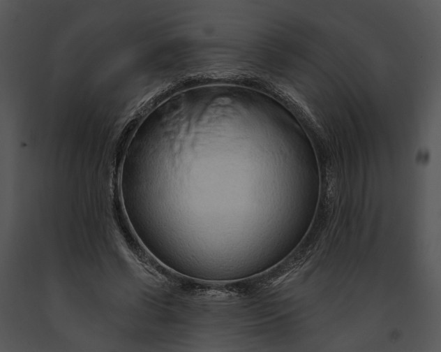 X0000091190542200708301239