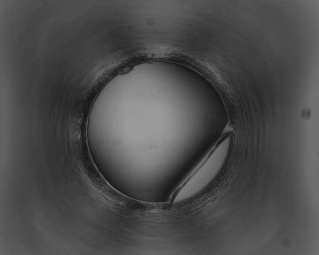 X0000091190543200708301239