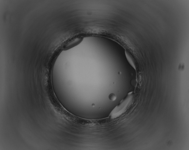 X0000091190544200708301239