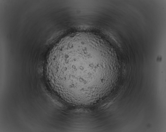 X0000091190545200708301239