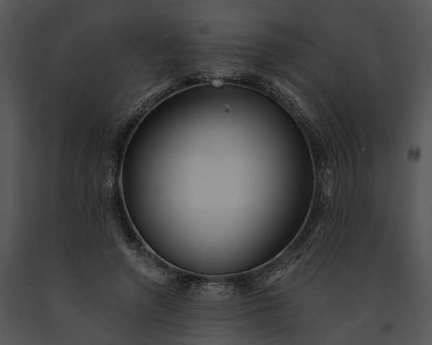 X0000091190546200708301239