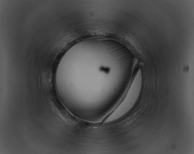 X0000091190548200708301239