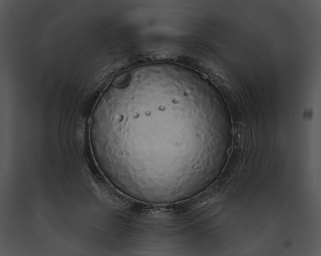 X0000091190550200708301239