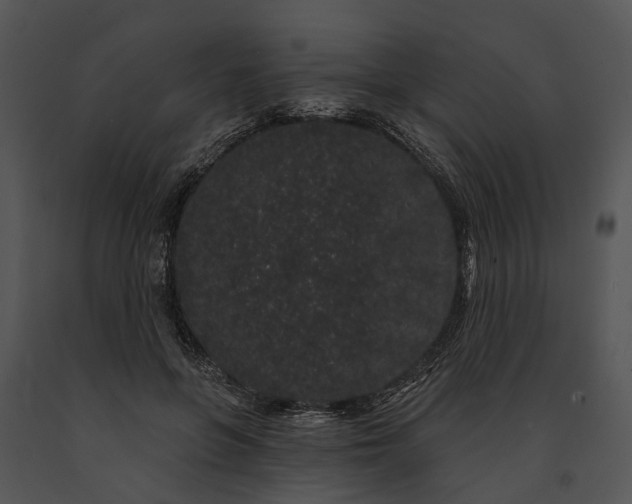 X0000091190551200708301239