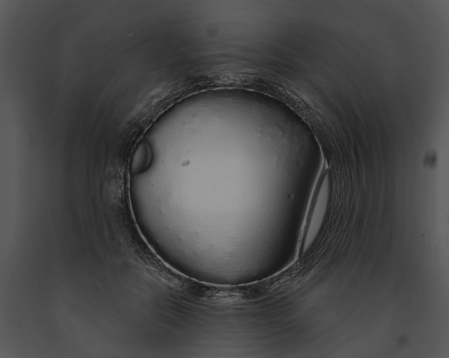 X0000091190554200708301239