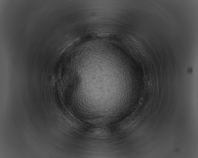 X0000091190555200708301239