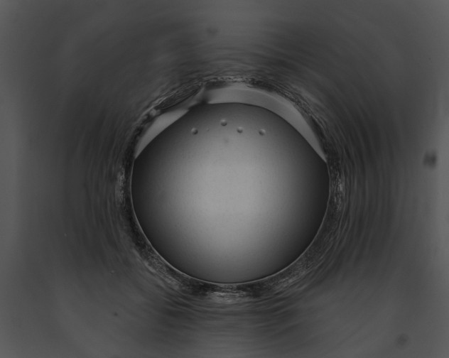 X0000091190556200708301239