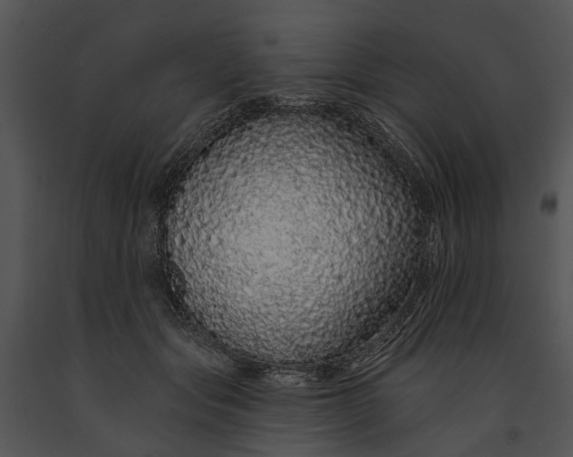 X0000091190557200708301239